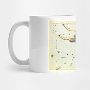 Taurus the Bull, from Urania's Mirror, Vintage Signs of the Zodiac Mug